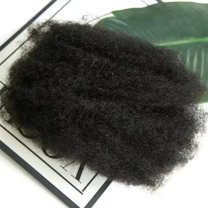 Brazilian Virgin Afro Kinky Bulk Hair — 100% Human Hair for Dreadlocks & Braiding | TechNova X