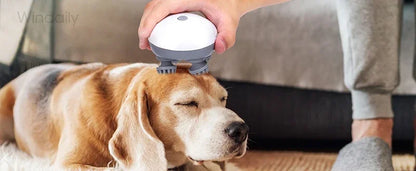 Masseur Électrique Cuir Chevelu Windaily — 4 Têtes, 3 Modes, IPX6 & Rechargeable