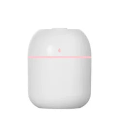 Humidificateur Portable USB 220ml — Brume Anionique, Purificateur d'Air & Diffuseur Arôme