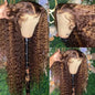 Perruque Lace Frontal Wig naturelle bouclée à reflets, cheveux humains, 13x4, sans colle, HD, Deep Wave, 4/27, colorée, pre-plucked